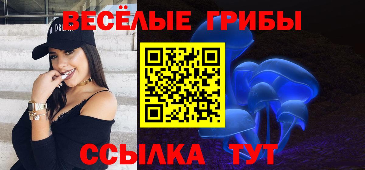 Электрогорск  Псилоцибиновые грибы мицелий  Вход с VPN  Псилоцибиновые грибы Cubensis 